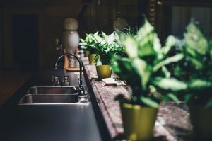 Recette Plantes dans la cuisine du monde