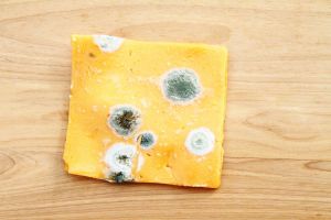 Recette Is It Safe to Eat Moldy Cheese?