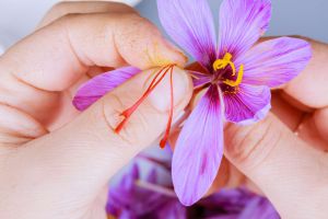 Recette What Happens to Your Sleep, Mood, and Heart Health When You Add Saffron to Your Diet