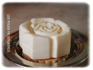 Recette Bavarois abricots