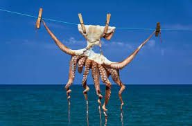 Recette Calamars, seiches, poulpes et autres chipirons de notre été