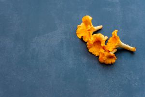 Recette Chanterelles