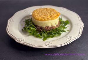 Recette Parmentier de canard confit, roquette et tuile de parmesan( astuce)
