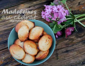 Recette Madeleines au cédrat