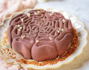 Recette Entremets chocolat vanille