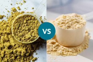 Recette Whey Protein vs. Pea Protein: Which Is Better for You?