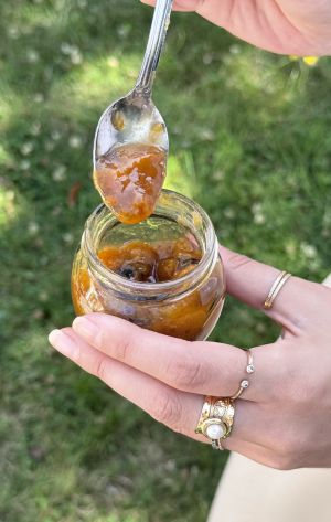 Recette Confiture de mirabelles à la vanille facile et allégée en sucre
