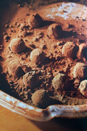 Recette Truffes au chocolat de Paul Bocuse