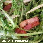 Recette Salade de pissenlit au lard