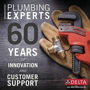 Recette Review: Delta In2ition® Two-in-One Shower Faucet