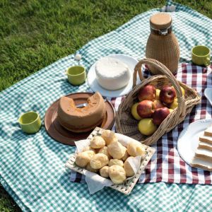 Recette Pique nique faciles et économiques