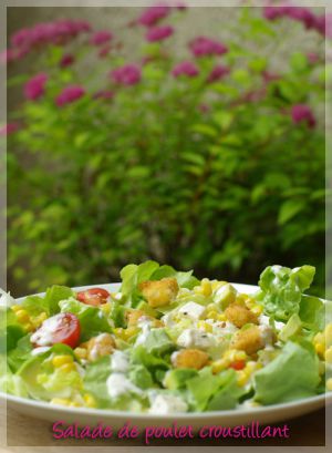 Recette Salade de Poulet