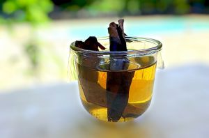 Recette BIENFAIT : infusion aux feuilles de graviola corossol et miel / antioxydant