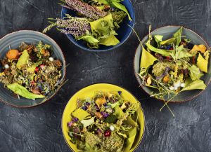 Recette Où trouver des idées de recettes végétariennes originales ?