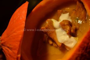 Recette Velouté De Potimarron Aux Chanterelles