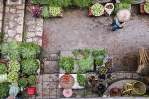 Recette Manger local, bio et vegan en PACA : réalité ou utopie ?