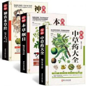 Recette Exploring Ancient Herbal Treasures: A Review of “Traditional Chinese Medicinal Herbs Trilogy