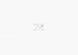 Recette Contenu uniquement – Pour utilisation avec les constructeurs de pages ou l’éditeur de blocs