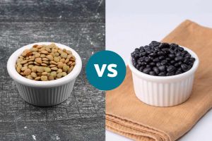 Recette Lentils vs. Beans: Which Provide More Protein and Fiber?