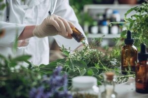 Recette Pourquoi devenir encore herboriste de nos jours ?