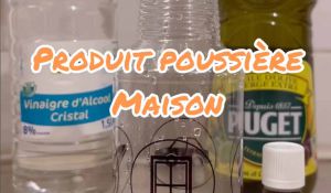 Recette Faire son nettoyant poussière maison