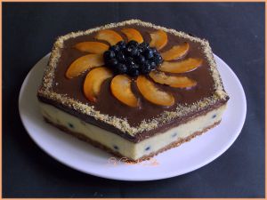 Recette Entremet aux myrtilles et abricots et chocolat