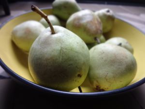 Recette Compote pomme/poire