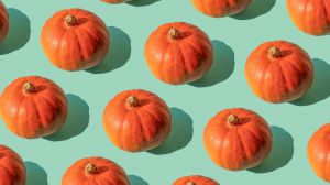 Recette Canned Pumpkin Actually Is Pumpkin—but Not the Kind You Think