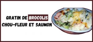 Recette Gratin de Brocolis Chou Fleur et Saumon