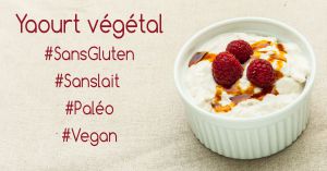 Recette Yaourts végétaux aux probiotiques – Vegan & Paléo