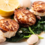 Recette Pétoncles poêlés aux épinards et aux haricots