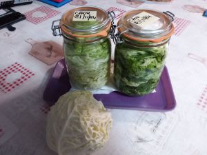 Recette Remplir son pot avec des feuilles de chou pour les faire fermenter