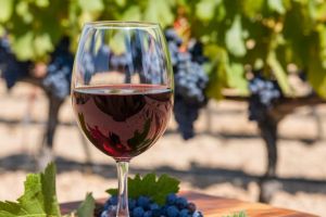 Recette Voici le pain de mie industriel qui surclasse tous les autres en 2024