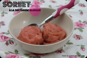 Recette Sorbet à la nectarine blanche – Vegan