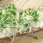 Recette Tartine aux pousses de cresson