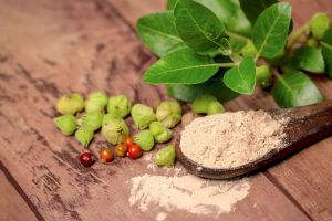 Recette How Long Does Ashwagandha Stay in Your Body?