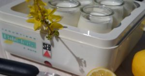 Recette Yaourts au citron avec ou sans yaourtière