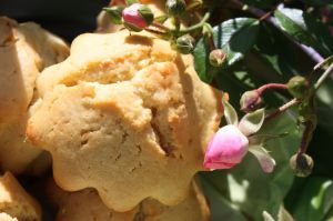 Recette Muffins au Mascarpone et jus de Yuzu