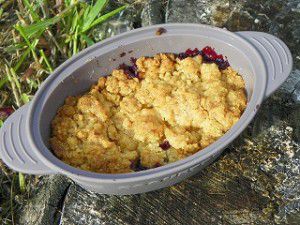 Recette Crumble aux mures (thermomix)