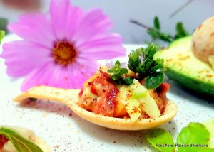 Recette Amusette mini canapé  en forme de petite cuillère à la crème avocats ketchup paprika