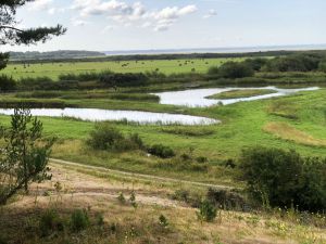 Recette Picardie, 3 jours en Baie de Somme... Le Parc de Marquenterre