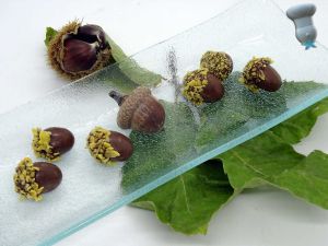 Recette Glands chocolat