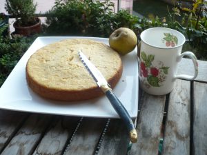 Recette Gâteau moelleux à la compote de pommes, zestes de citron et épices