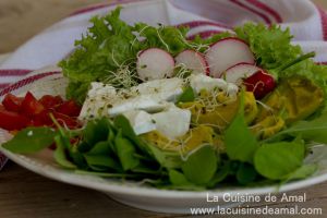 Recette Salade composée aux pousses de radis et radis roses