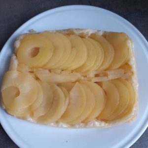 Recette Tatin de pommes au combi ninja