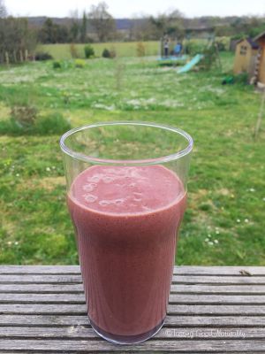 Recette Smoothie aux fruits rouges, kale, banane et protéines de chanvre #vegan