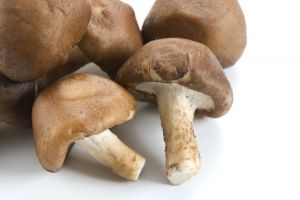 Recette What Happens to Your Body When You Eat Mushrooms Regularly