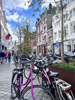 Recette Pays-Bas : ce qu’il faut savoir avant de partir