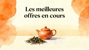 Recette Découvrez les meilleurs codes promo palais des thés