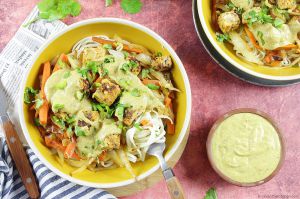 Recette Nouilles Udon, Tofu et Légumes de Saison Sauce Cacahuètes